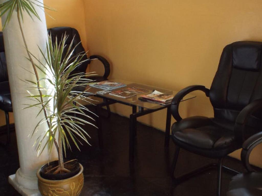 Tropical Court Inn New Kingston Zewnętrze zdjęcie